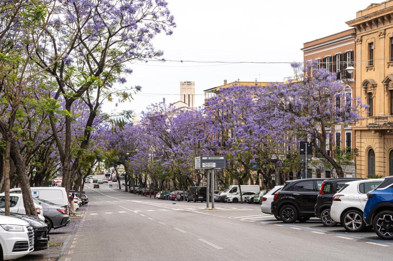 Domomea - Donna Memela Cagliari